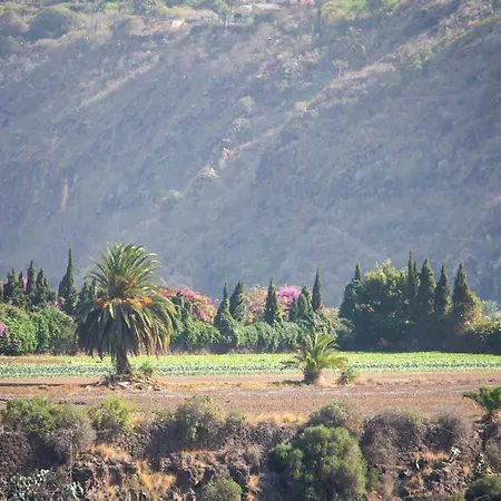 بيت للعطل La Casita De