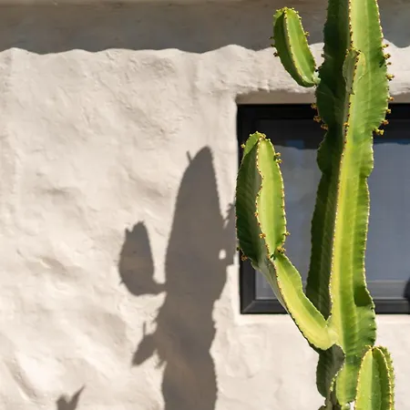 Holiday home La Casita De *